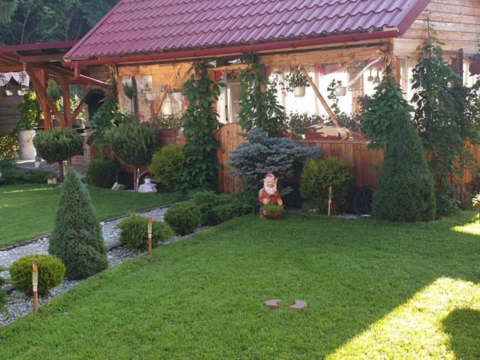 Pensiunea Gianina Arieşeni エクステリア 写真